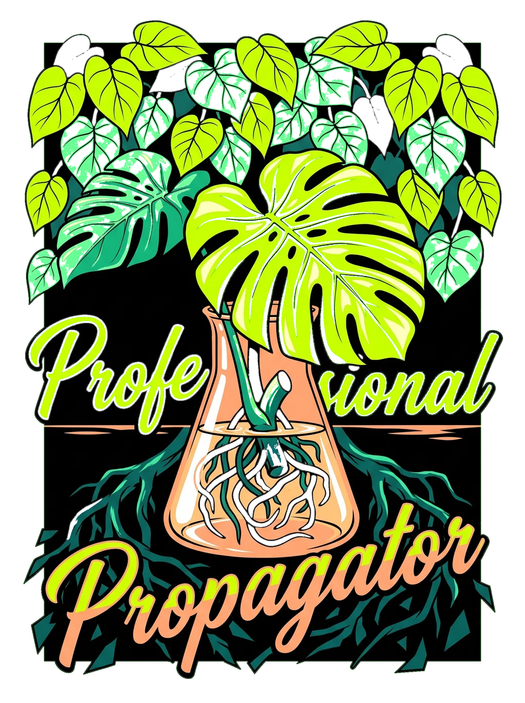 Professional Propagator
